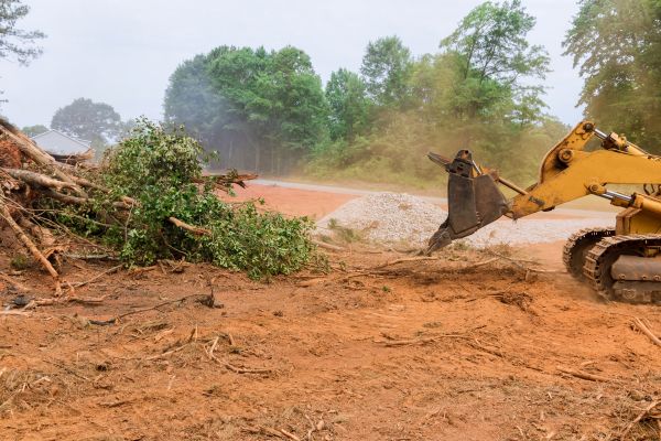 Cost of Forestry Mulching Service in West Des Moines