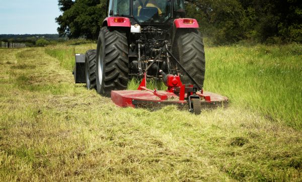 Brush Clearing Service in West Des Moines