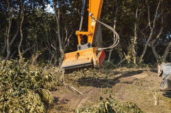 Brush Removal Service in West Des Moines