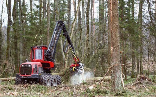 Cost of Forest Clearance Service in West Des Moines