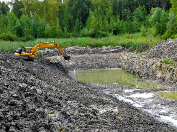 Cost of Lake Lot Clearing in West Des Moines