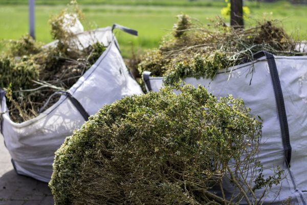 Cost of Bushes Clearing in West Des Moines