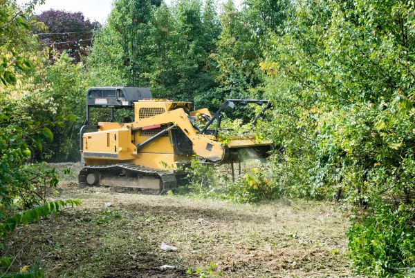 Cost of Pathway Clearing in West Des Moines