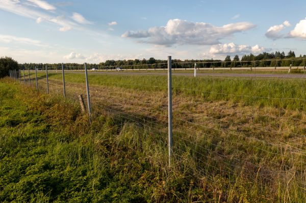 Cost of Property Line Clearing in West Des Moines