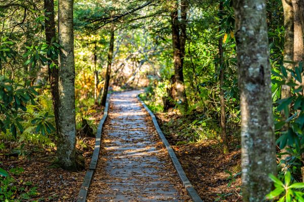 Cost of Trail Clearing in West Des Moines