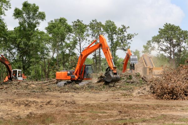 Cost of Commercial Lot Clearing in West Des Moines