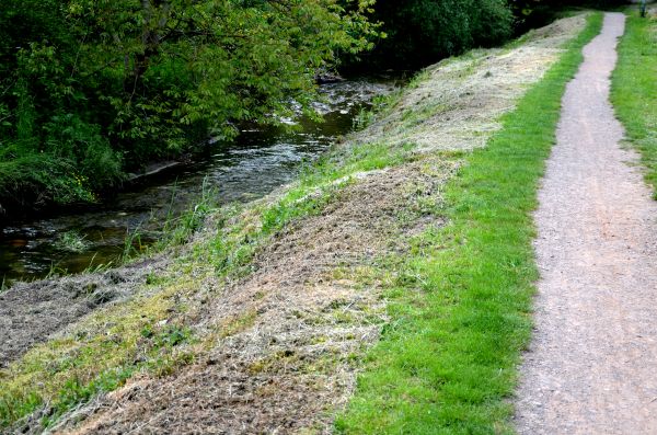Cost of Trail Cutting in West Des Moines